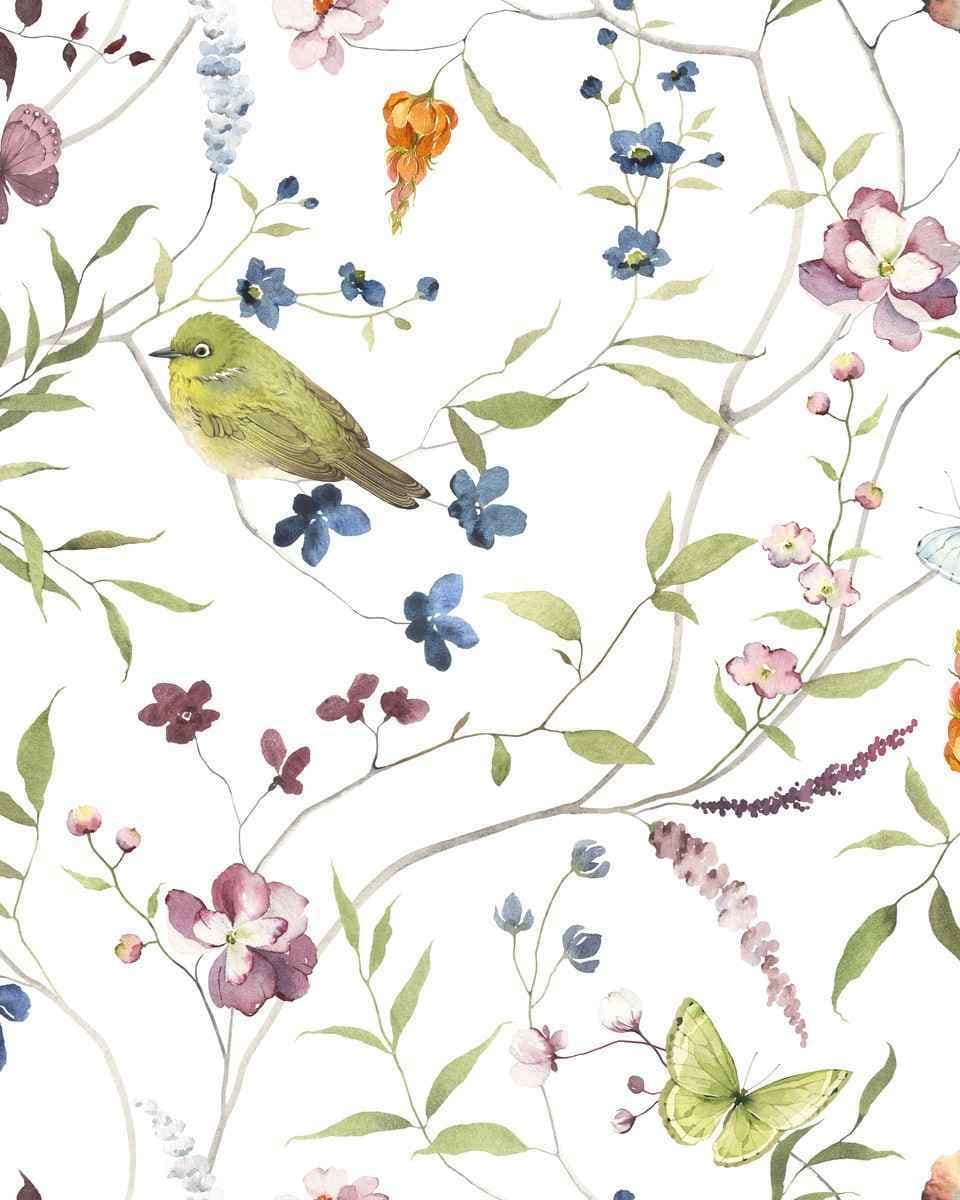 Papel de Parede Pássaro Silvestre