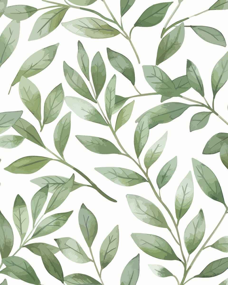 Papel de Parede Ramos de Louro